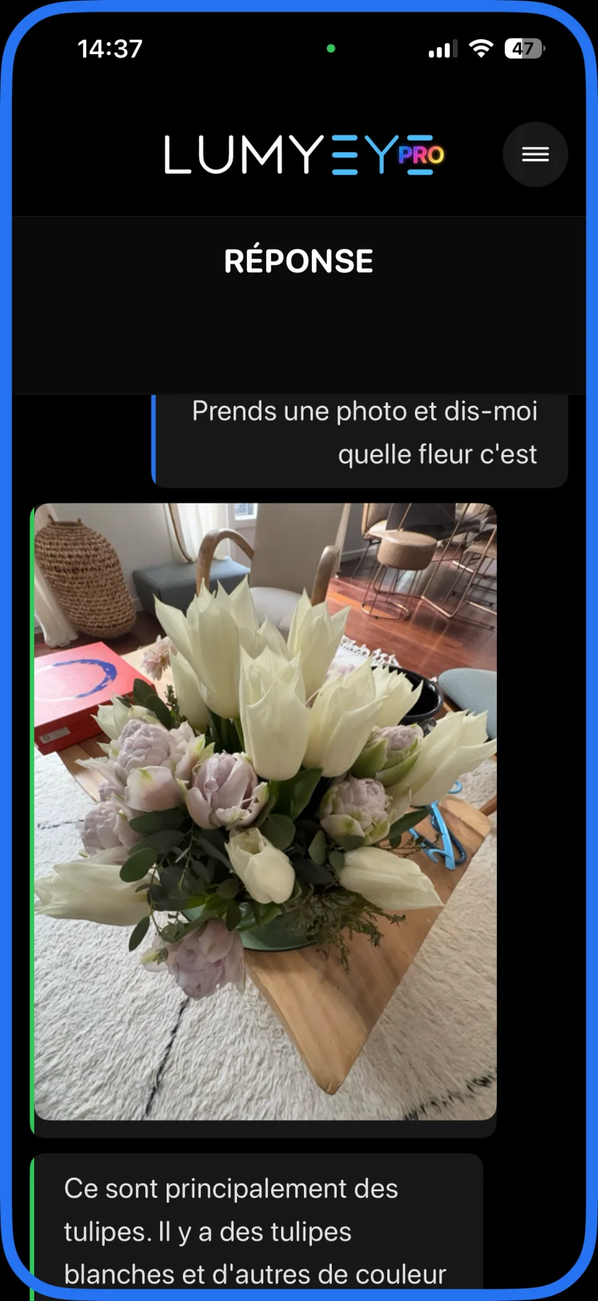 Capture de Lumyeye Pro : la question demande d'identifier les fleurs du bouquet photographié ; la réponse commence par « Ce sont principalement des tulipes » et décrit des tulipes blanches.