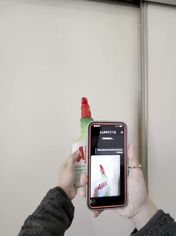 Still from the English demo: Identify an object held in hand