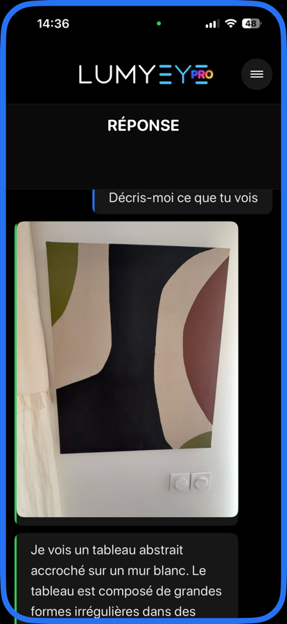 Lumyeye Pro — description visuelle d'une œuvre d'art